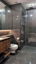 Phoenix Residences (D23), Apartment #573054801